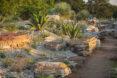 a garden of rocks and succulents