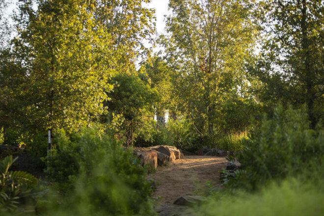 a green garden pathway with trees