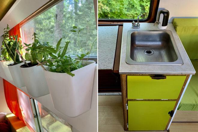 two images: to the left, several green plants in white containers. to the right, a pump sink with green cabinets.