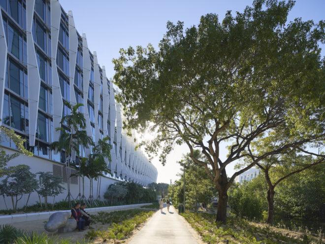 path lined by trees next to large white building