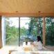 person sipping tea and looking out window