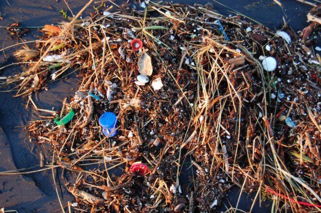 jumbled heap of waste washed ashore