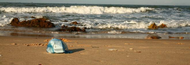 plastic bag and Styrofoam container on a beach