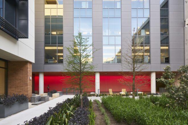 an outdoor courtyard full of greenery. a red exterior wall sits parallel to the green area.