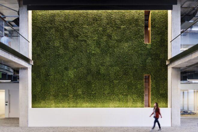 a person walking in front of a greenery-covered wall.