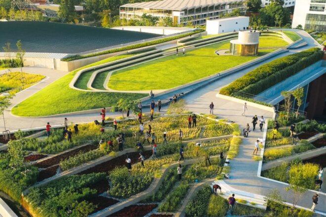 a terraced green area where many people work in the garden and walk by.