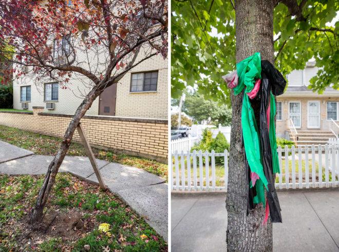 tree propped with wood and fabric tied around tree