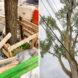 wood barrier around tree base and tree growing near power lines