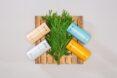 four tubes of deodorant in the colors beige, gray, blue and orange arranged around a leafy green plant on top of a wood palette.