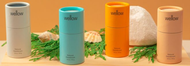 a display of four deodorant tubes. from left to right, the tube colors are gray, blue, yellow/orange and beige. in the background there are leafy green plants and a white stone.