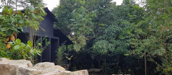 black gabled home surrounded by trees and a stone wall