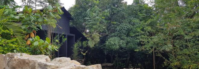 black gabled home surrounded by trees and a stone wall
