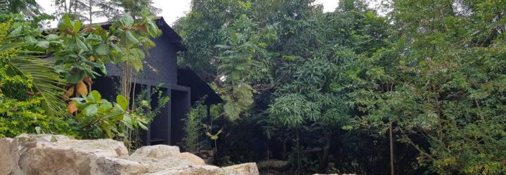 black gabled home surrounded by trees and a stone wall
