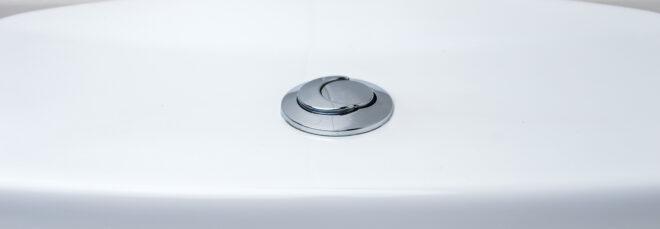 dual-flush toilet buttons