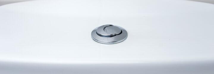 dual-flush toilet buttons