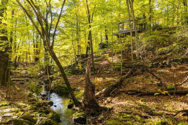 stone and glass cabin on a hill in a forest