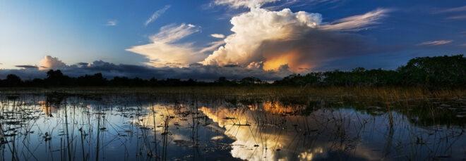 large storm cloud over wetlands of Florida's Everglades