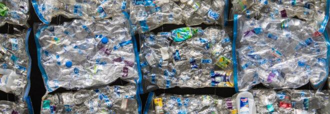 plastic containers in vacuum-sealed bags