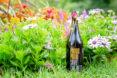 red wine bottle near meadow of wildflowers