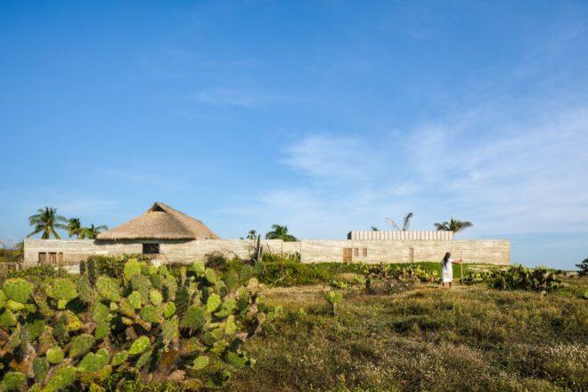 A person walking through a field of greenery and cacti to get to the beach house.