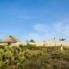 A person walking through a field of greenery and cacti to get to the beach house.