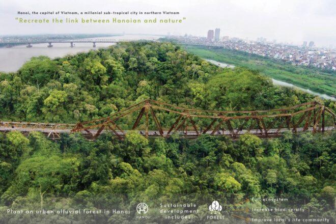 rendering of bridge in a subtropical forest