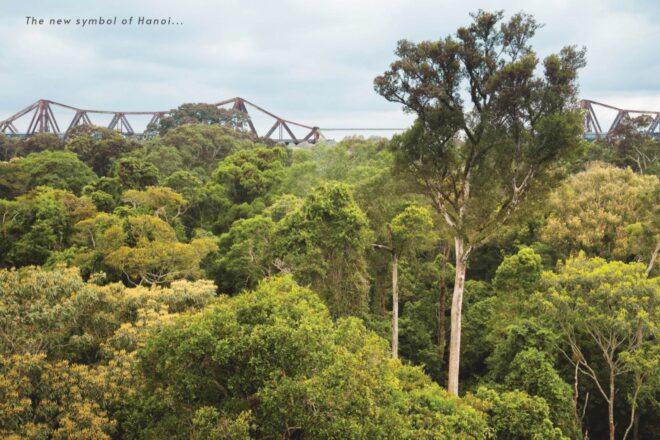 rendering of bridge near subtropical forest