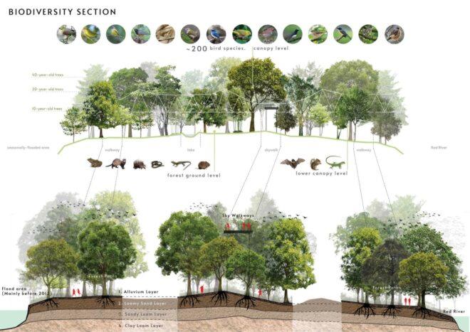 diagram of various trees and animals