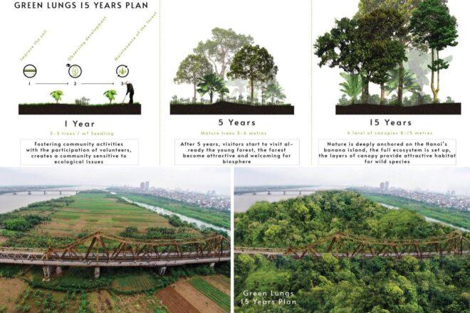 diagram showing forest growing over 15 year time span