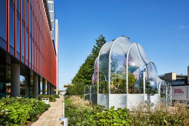 rounded white greenhouse