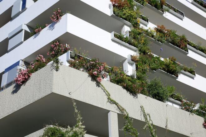 close-up of plants growing over balcony sides