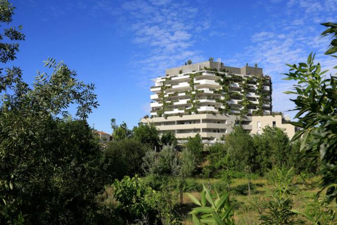 trees and green space surrounding plant-covered building