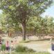 rendering of kids playing near massive tree in a school courtyard