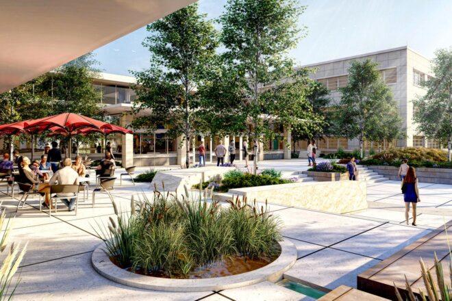 rendering of round gardens planted in a patio