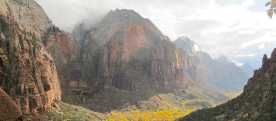 red cliffs in Zion National Park