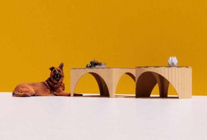 cardboard coffee tables near dog on yellow background