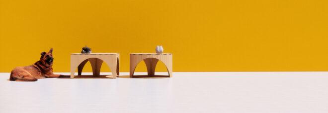 cardboard coffee tables near dog on yellow background