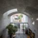 trees under concrete archway