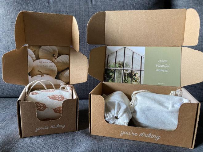 two cardboard boxes with cloth inside