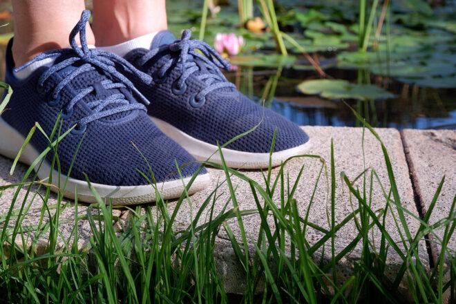 a close-up of a pair of blue shoes standing on a concrete step near grass.