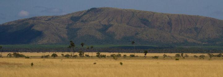 mountain, Amazon rainforest and savanna grasslands