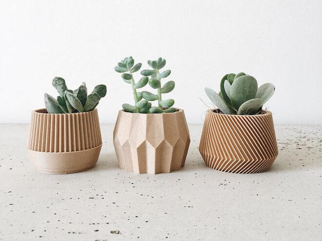 succulents in three wooden 3D-printed planters