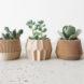 succulents in three wooden 3D-printed planters