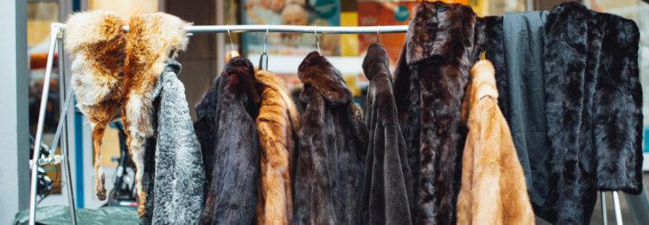 fur coats on rack in a mall