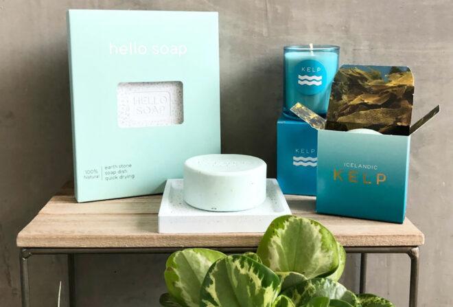 A display of gifts, including a blue candle, bath items and a green plant.