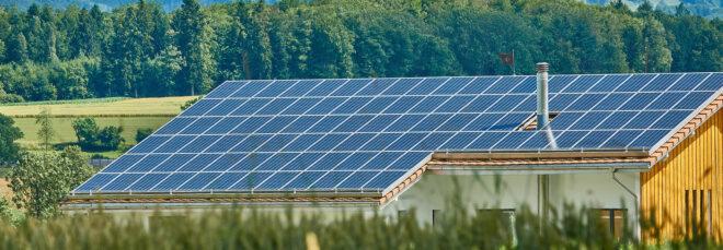 a roof full of solar panels, surrounded by greenery.
