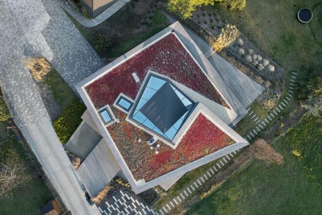 An aerial view of a cube-shaped home with a "green roof" covered in reddish plants.