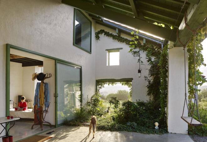 A covered terrace with green ivy growing up the doorway.