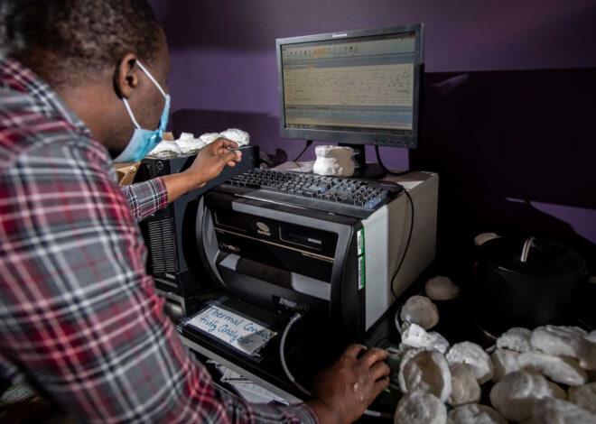 A person working in a lab and looking at a computer screen.