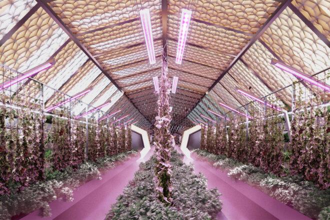 An interior room with purple accents and plants growing.
